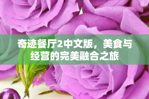 美食与经营的完美融合之旅图片