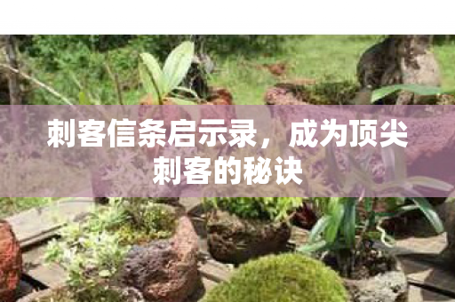 成为顶尖刺客的秘诀图片