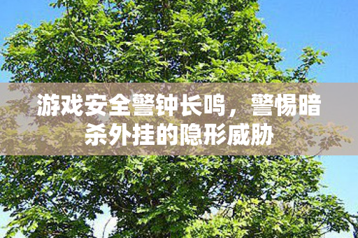 游戏安全警钟长鸣，警惕暗杀外挂的隐形威胁