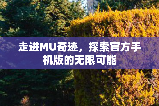 探索官方手机版的无限可能图片