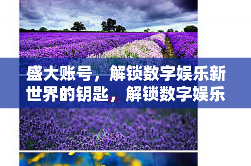 盛大账号,解锁数字娱乐新世界的钥匙,解锁数字娱乐新世界的钥匙,盛大账号 盛大账号,解锁数字娱乐新世界的钥匙,解锁数字娱乐新世界的钥匙,盛大账号
