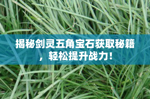 揭秘剑灵五角宝石获取秘籍图片