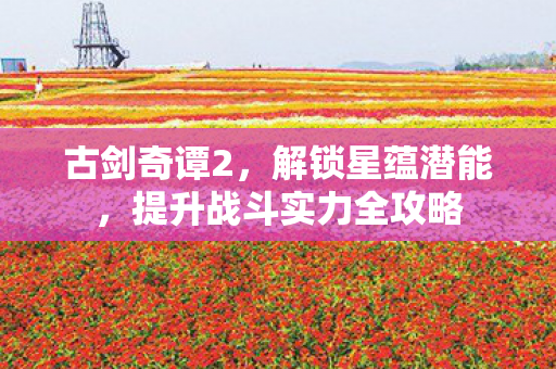 提升战斗实力全攻略图片