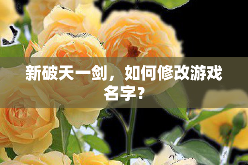 如何修改游戏名字图片
