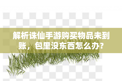 解析诛仙手游购买物品未到账图片