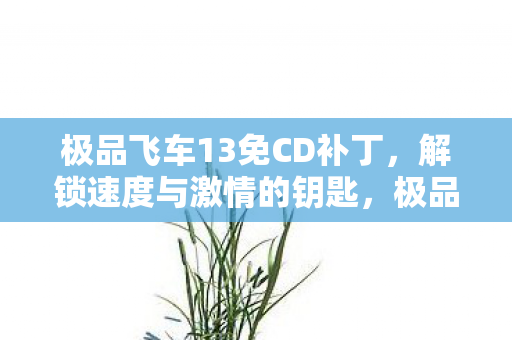 极品飞车13免CD补丁,解锁速度与激情的钥匙,极品飞车13免CD补丁,解锁速度与激情的钥匙 极品飞车13免CD补丁,解锁速度与激情的钥匙,极品飞车13免CD补丁,解锁速度与激情的钥匙