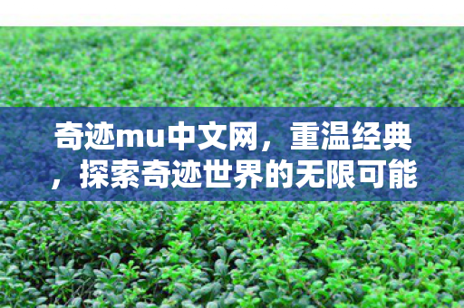 探索奇迹世界的无限可能图片