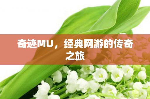 经典网游的传奇之旅图片