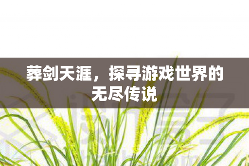 探寻游戏世界的无尽传说图片