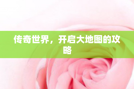 开启大地图的攻略图片