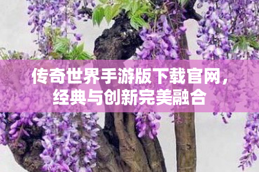 传奇世界手游版下载官网图片