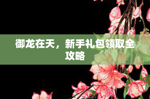 新手礼包领取全攻略图片