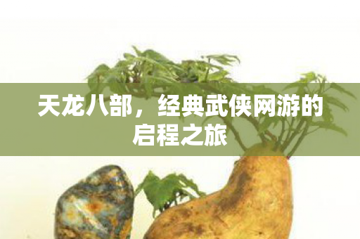 经典武侠网游的启程之旅图片