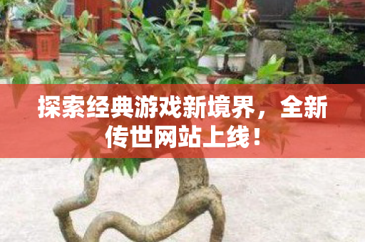 探索经典游戏新境界图片