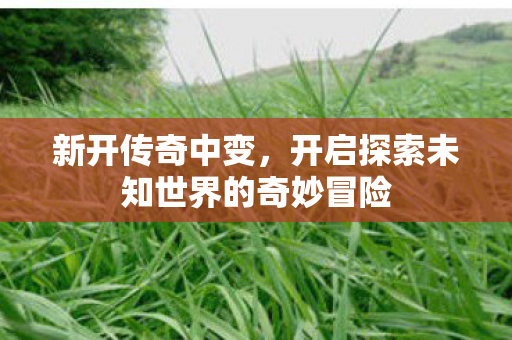 开启探索未知世界的奇妙冒险图片