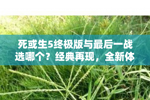 死或生5终极版与最后一战选哪个图片