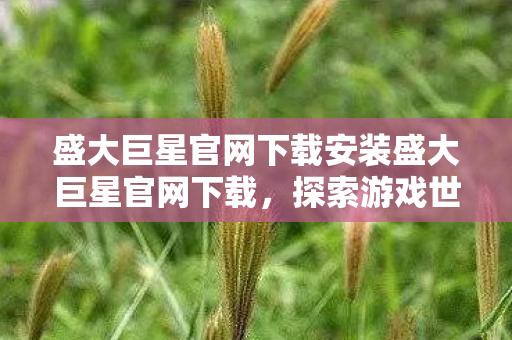 盛大巨星官网下载安装盛大巨星官网下载图片