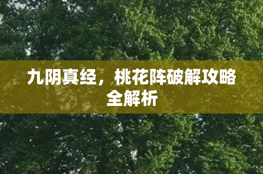 桃花阵破解攻略全解析图片