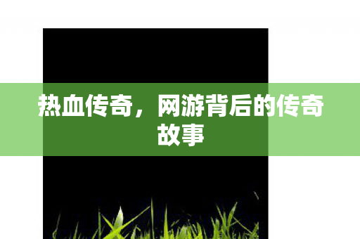 网游背后的传奇故事图片