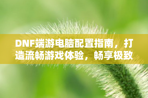 DNF端游电脑配置指南图片