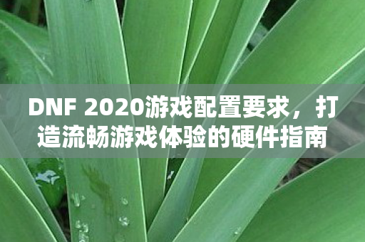 DNF 2020游戏配置要求图片