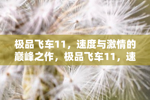 极品飞车11，速度与激情的巅峰之作，极品飞车11，速度与激情的巅峰盛宴