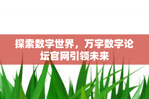 万宇数字论坛官网引领未来图片