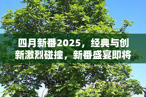 经典与创新激烈碰撞图片