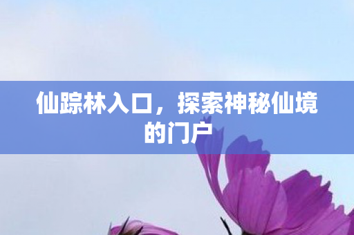 探索神秘仙境的门户图片