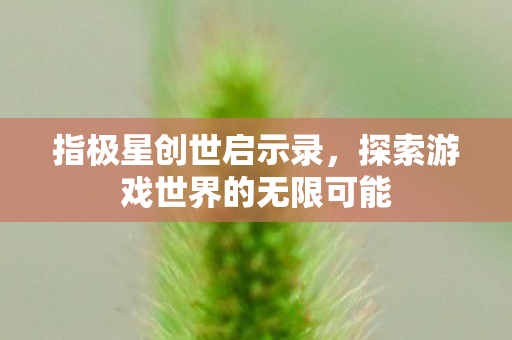 探索游戏世界的无限可能图片