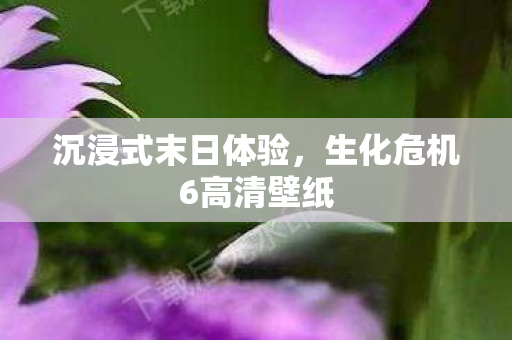 生化危机6高清壁纸图片