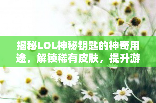 揭秘LOL神秘钥匙的神奇用途图片