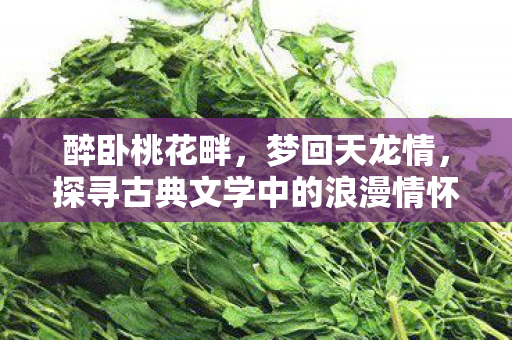 探寻古典文学中的浪漫情怀与武侠精神图片