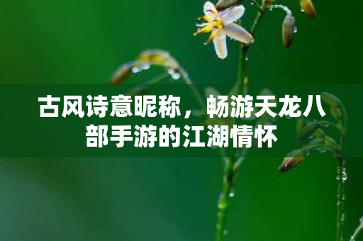 畅游天龙八部手游的江湖情怀图片