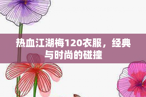 热血江湖梅120衣服图片
