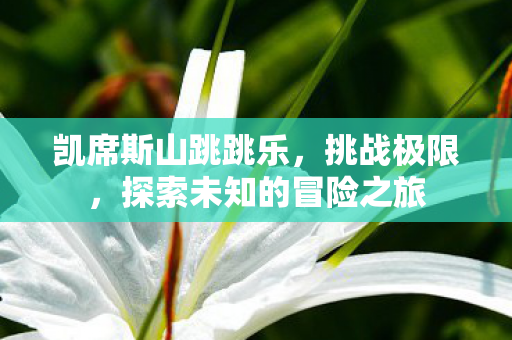 探索未知的冒险之旅图片