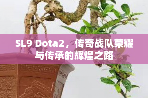 传奇战队荣耀与传承的辉煌之路图片