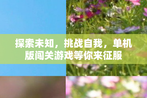 单机版闯关游戏等你来征服图片