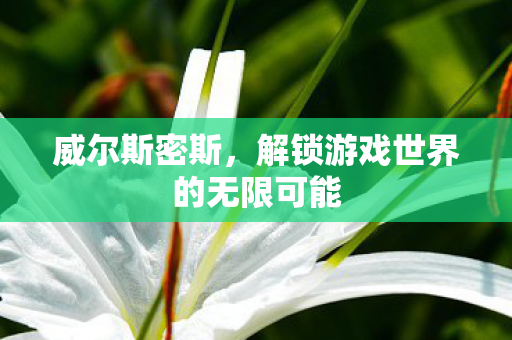 解锁游戏世界的无限可能图片
