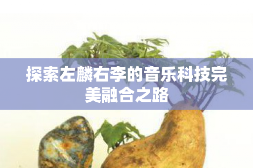 探索左麟右李的音乐科技完美融合之路 探索左麟右李的音乐科技完美融合之路