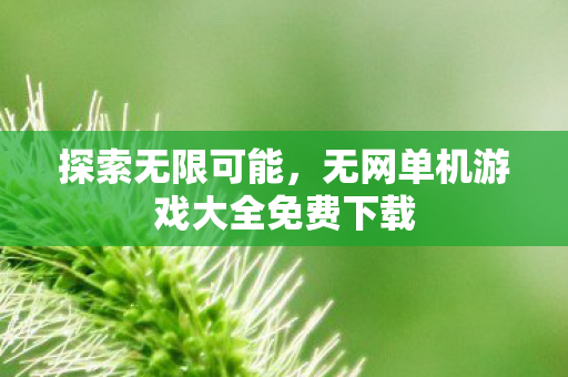探索无限可能，无网单机游戏大全免费下载