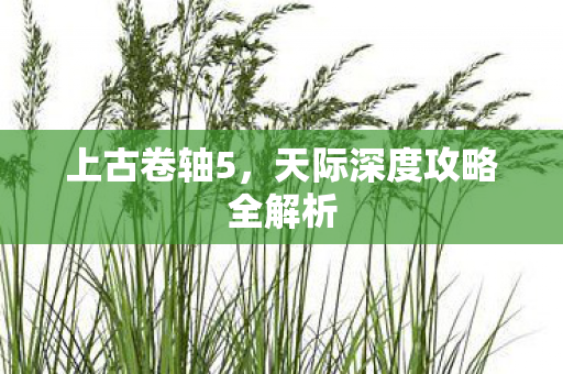 天际深度攻略全解析图片
