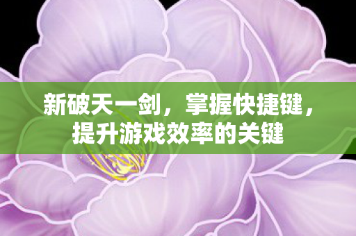 新破天一剑，掌握快捷键，提升游戏效率的关键