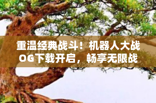机器人大战OG下载开启图片