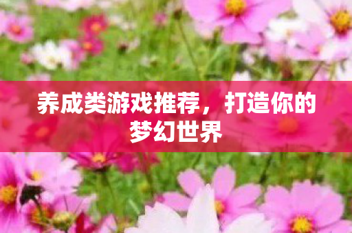 打造你的梦幻世界图片