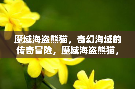 奇幻海域的传奇冒险之旅图片