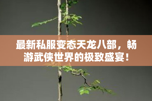 畅游武侠世界的极致盛宴图片