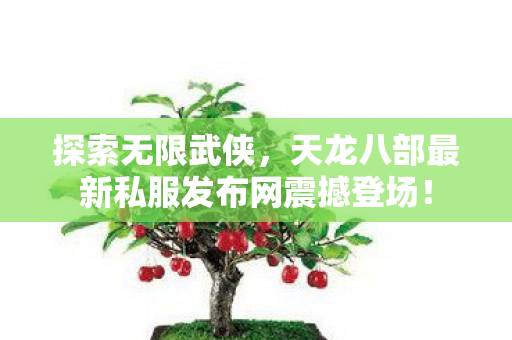 天龙八部最新私服发布网震撼登场图片