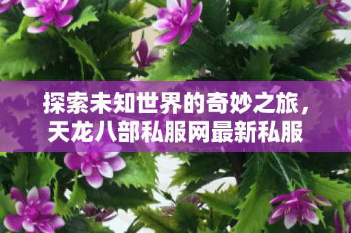 探索未知世界的奇妙之旅图片