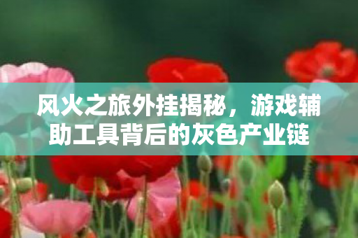游戏辅助工具背后的灰色产业链图片